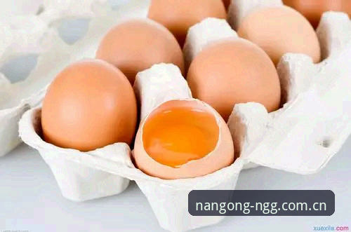资深用户分享南宫NG平台体验：从注册到稳定使用的完整攻略